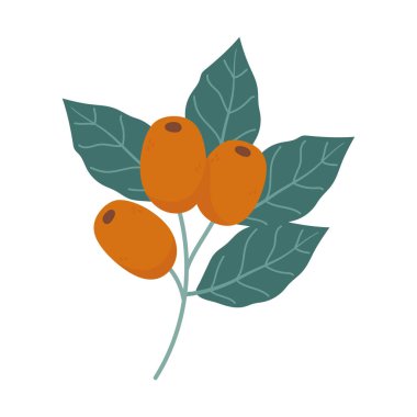 Yaprak tohumu kahve izole edilmiş simge beyaz arkaplan