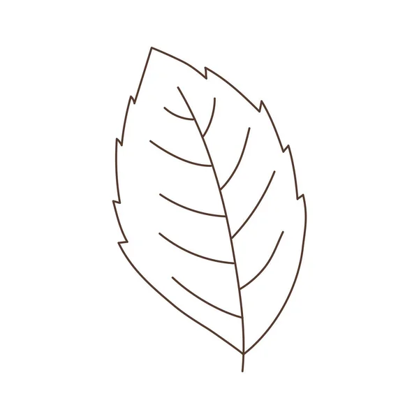Hoja de menta verde icono aislado de hierbas fondo blanco diseño lineal — Vector de stock