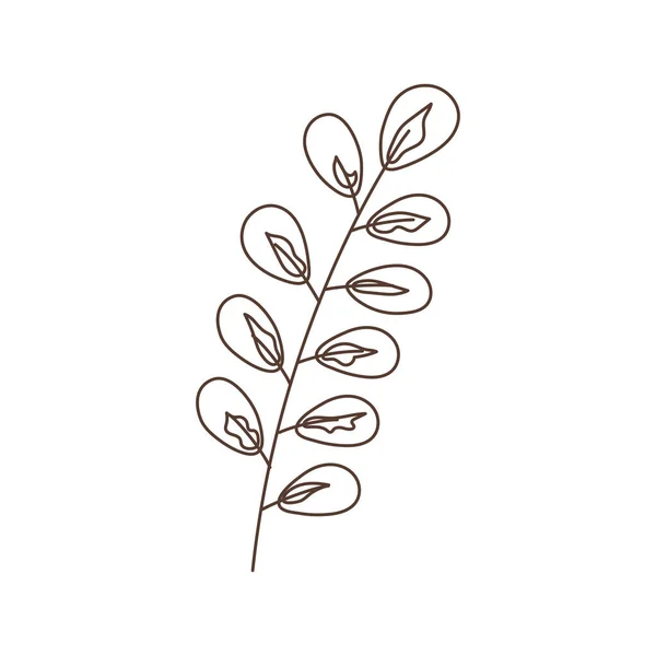 Zweig Blätter botanisch isoliert Symbol weiß Hintergrund lineares Design — Stockvektor