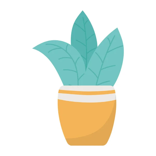 Potted plant decoration isolated icon design — Stock Vector