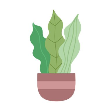 saksı bitkisi dekorasyonu iç bahçe ikon tasarımı izole