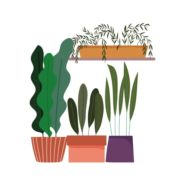 Macetas plantas jardinería decoración interior ornamento diseño — Vector de stock