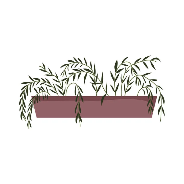 鉢植えの装飾インテリアガーデニング隔離されたアイコンデザイン — ストックベクタ
