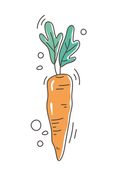 健康食品营养饮食有机新鲜胡萝卜蔬菜 — 图库矢量图片