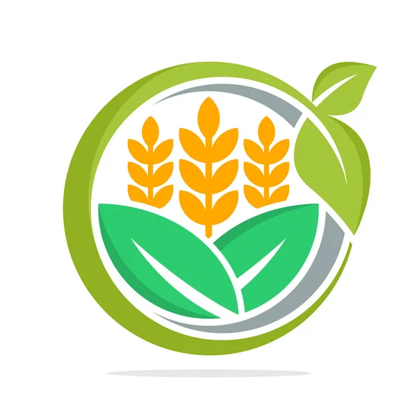 Иконка Логотипа Управления Бизнесом Развития Продовольственных Товаров Особенно Пшеницы Органического — стоковый вектор