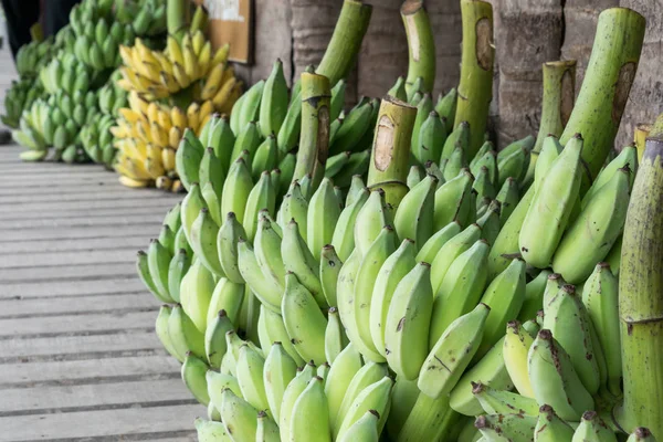 Raccolta delle banane dall'azienda agricola al mercato in primo piano — Foto Stock