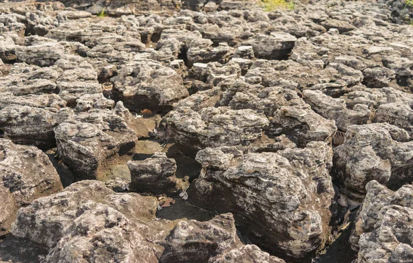 Kaya aşınmış yağmur, Rüzgar, su, te yapmak için arka plan — Stok fotoğraf