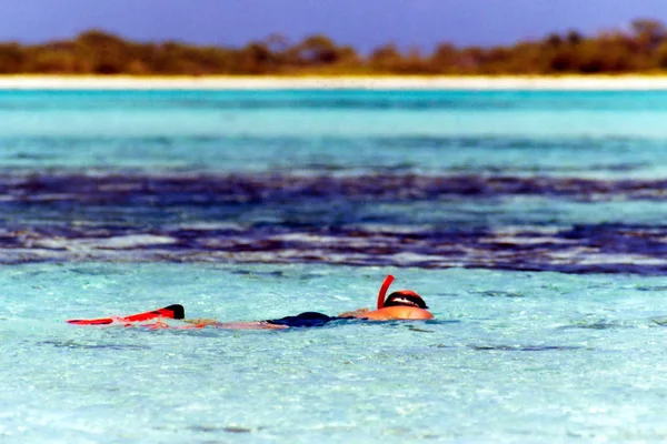 Schnorcheln im blauen Meer Stockbild