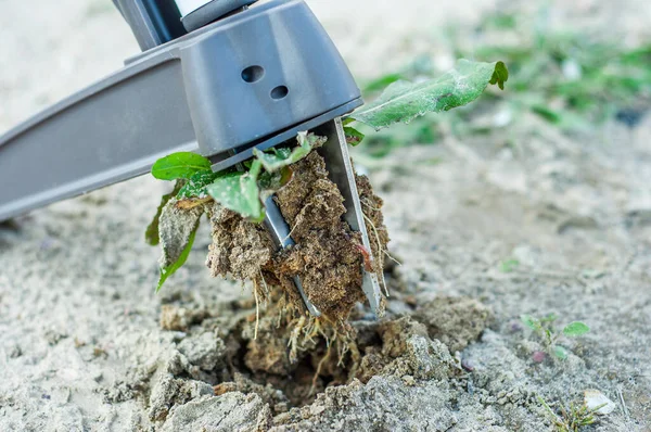 A good example of a weed removal tool. Capture a plant along with a root from the soil.