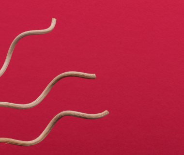 renkli bir arka plan üzerinde ahşap sopa