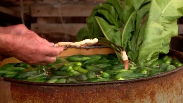 : spices for pickling cucumbers — Stock Footage : spices for pickling cucumbers Royalty Free Stock Footage