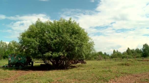 Seorang petani mengendarai traktor — Stok Video