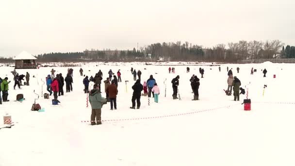 Winter fishing for trout — Stock Footage Winter Fishing Trout Royalty Free Stock Footage