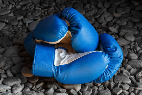 Luvas de boxe em um fundo azul . — Fotografia de Stock