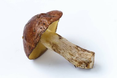 Beyaz arka planda mantar yağları