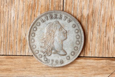 LVIV, UKRAINE - 11.19.2017: İlk Amerikan doları