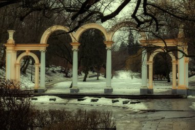 Lviv Park Güzel kış manzarası