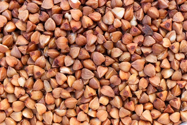 Kırmızı karabuğdaylı doku