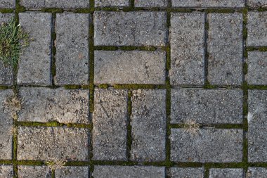 Yarıklarda yosun tabakası var.