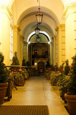 Gece Lviv güzel gece sahnesi