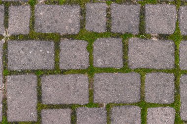 Yarıklarda yosun tabakası var.