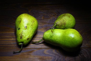 Güzel sincap. Yaklaş.