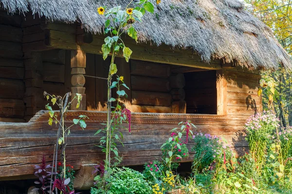 Die Alte Ukrainische Hütte — Stockfoto