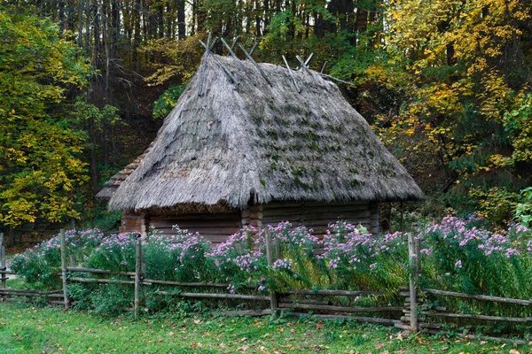 Régi Ukrán Kunyhó — Stock Fotó