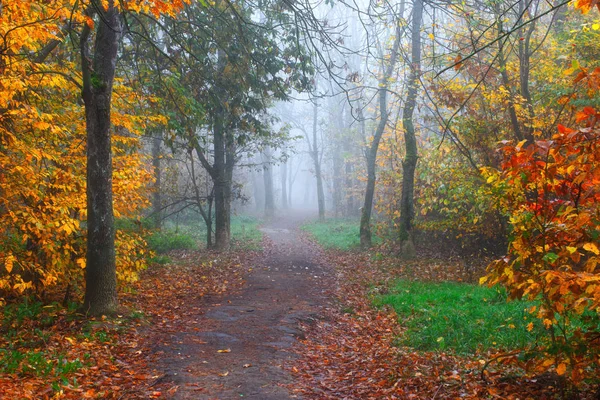 Autumn City 'nin fotoğrafı Sisin içindeki Park