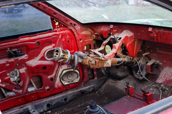 Güzel sincap. Yaklaş.