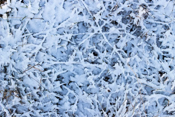 Die Textur Ist Der Erste Schnee — Stockfoto