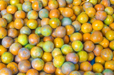 Taze turuncu doku meyve pazarında Satılık. 