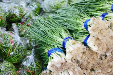 Taze soğan ve taze pazarda, sağlıklı sebze bitki biber.