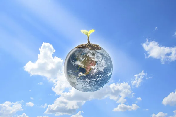 Earth Day Konzept, 22. April, junge Sämlinge auf der Erde mit klarem blauen Himmel und Sonnenlicht Hintergrund gepflanzt. — Stockfoto