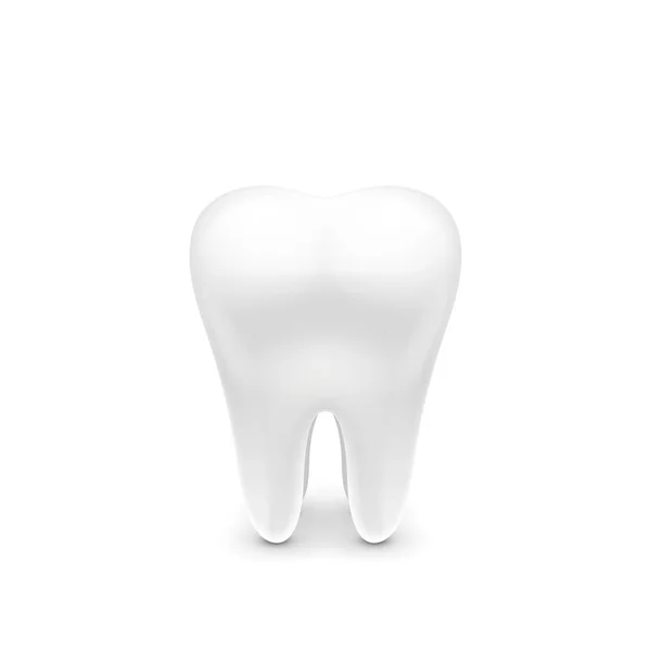 Dente bianco sano — Vettoriale Stock