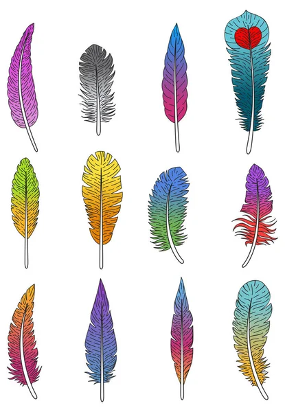 Patrón con plumas de colores — Vector de stock