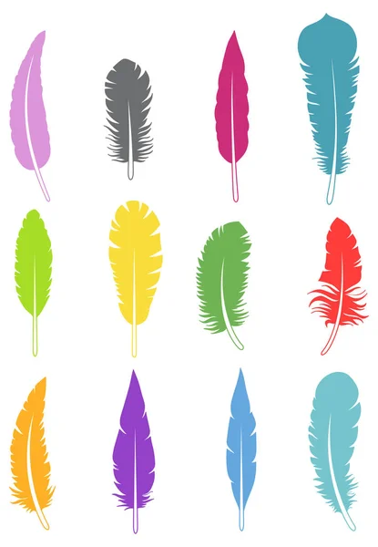 Pattern with colorful feathers — Stock Vector