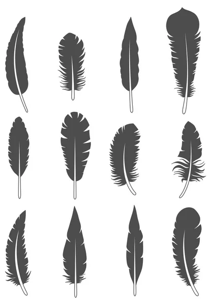 Pattern with black feathers — Stock Vector