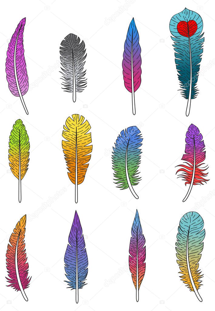 pattern with colorful feathers