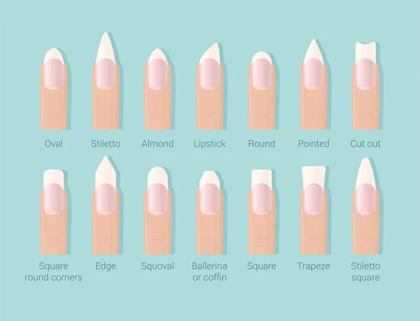 283 Nail shapes Vector Images | Depositphotos