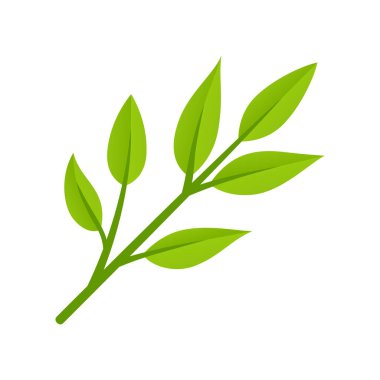 Yeşil çay yaprakları ile taze şube.