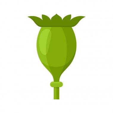 Kurutulmuş haşhaş kafa simgesi.