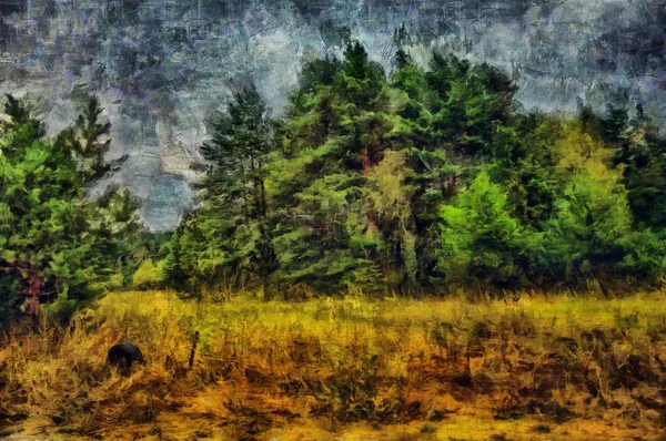 夜の森のオリジナルの油絵 — ストック写真