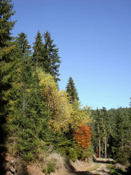 Paisagem de outono 01 — Fotografia de Stock