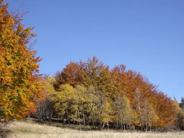 Autunno paesaggio 06 — Foto Stock