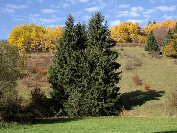 Herbstlandschaft 11 — Stockfoto