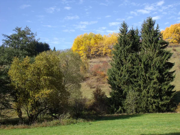 Herbstlandschaft 12 — Stockfoto