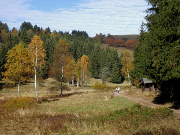 Осенний пейзаж 14 — стоковое фото