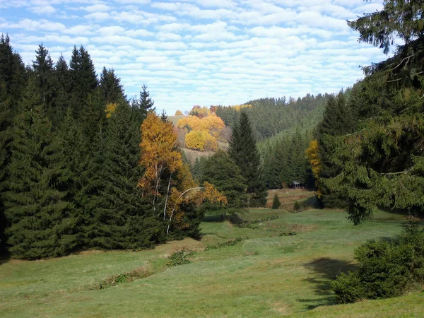 Herfst landschap 15 — Stockfoto