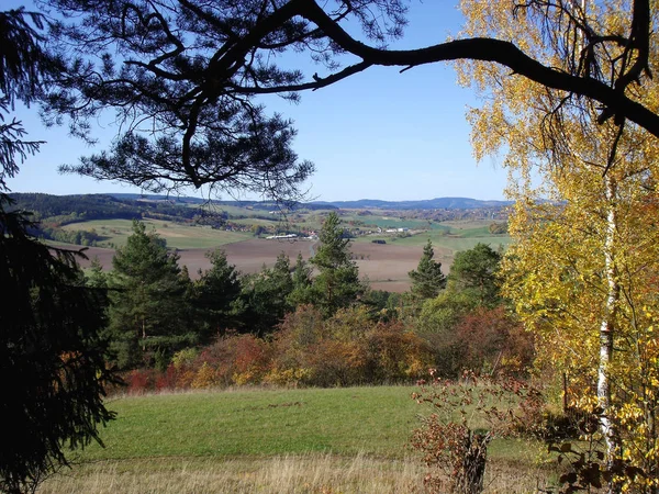 Herbst Landschaft Zweig 1 — Stockfoto